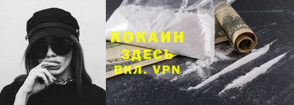 apvp Гусь-Хрустальный