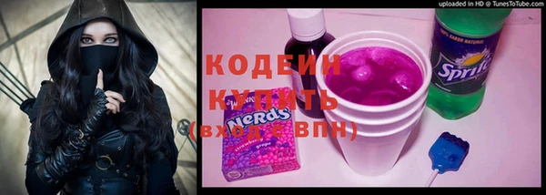 СК Горнозаводск