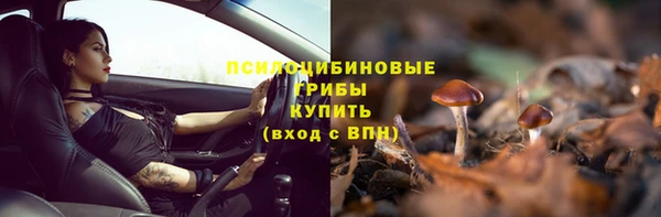 MDMA Гусиноозёрск