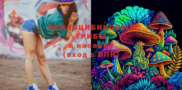 кокаин VHQ Гусев