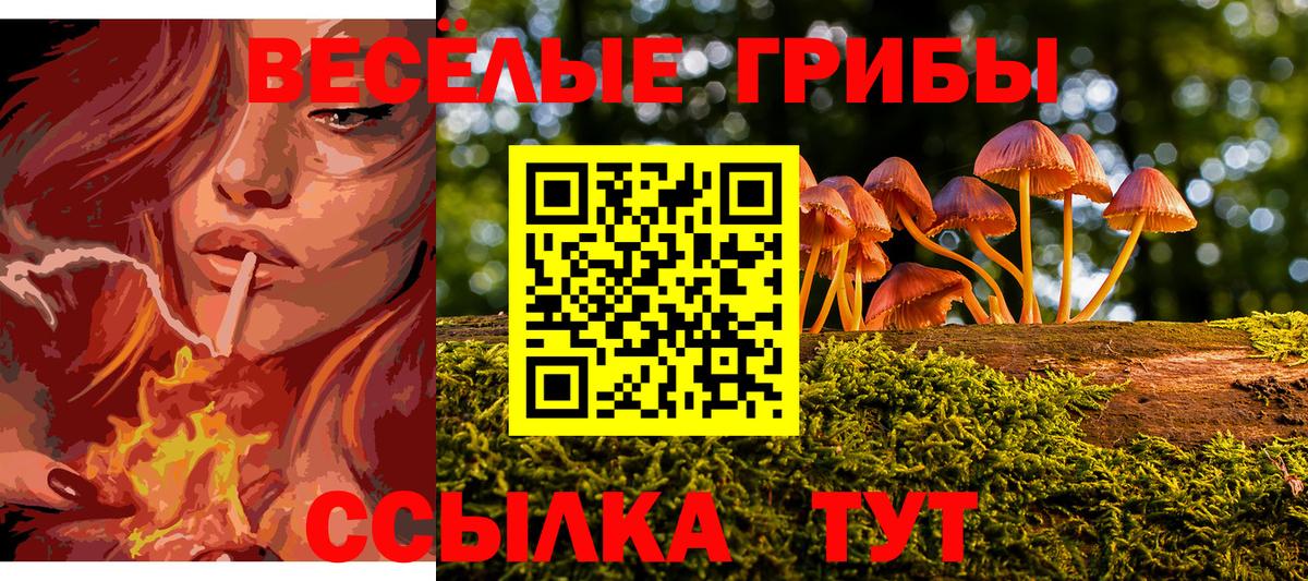 Галлюциногенные грибы прущие грибы Ногинск