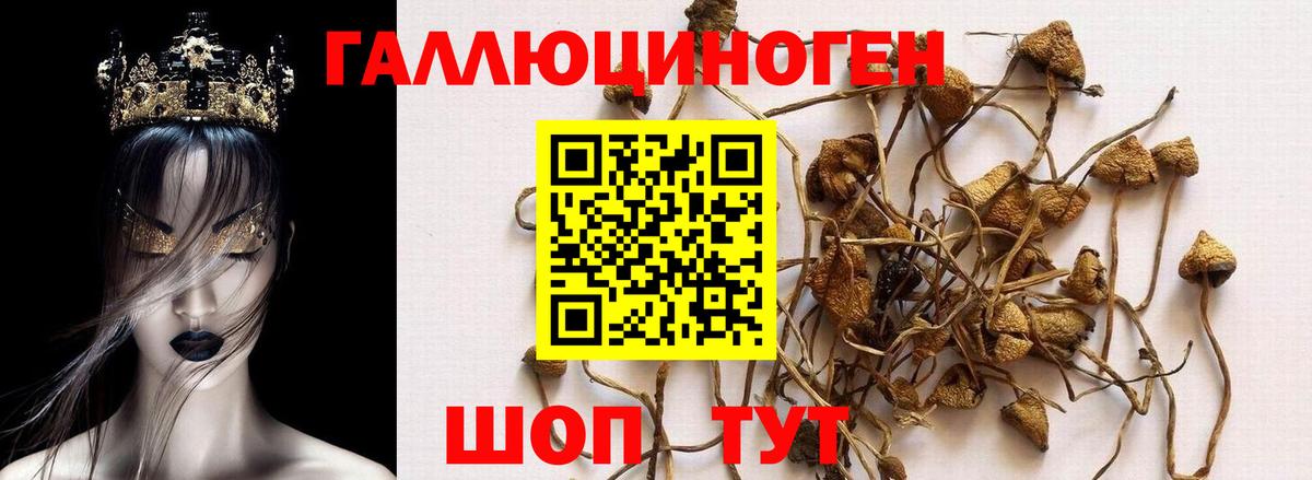 Галлюциногенные грибы мицелий  Псилоцибиновые грибы мицелий  Вход с VPN  Ногинск 