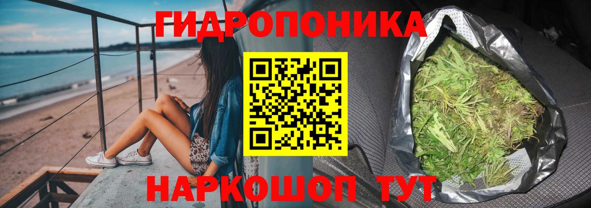 Каннабис планчик  Вход с VPN  Марихуана марихуана  Ногинск 